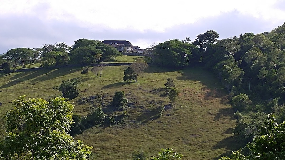 Lyming at Walkerswood photo 3