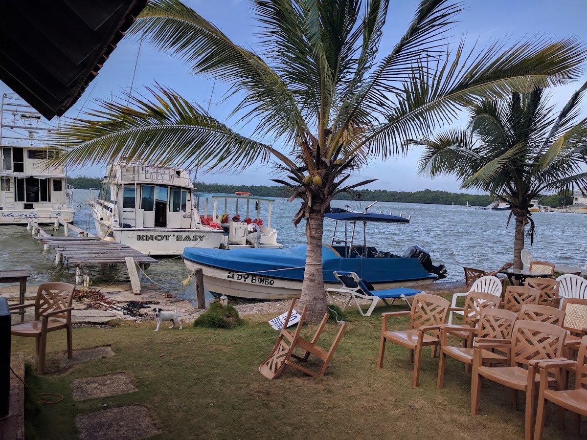 Rock Wharf Luminous Lagoon — Trelawny