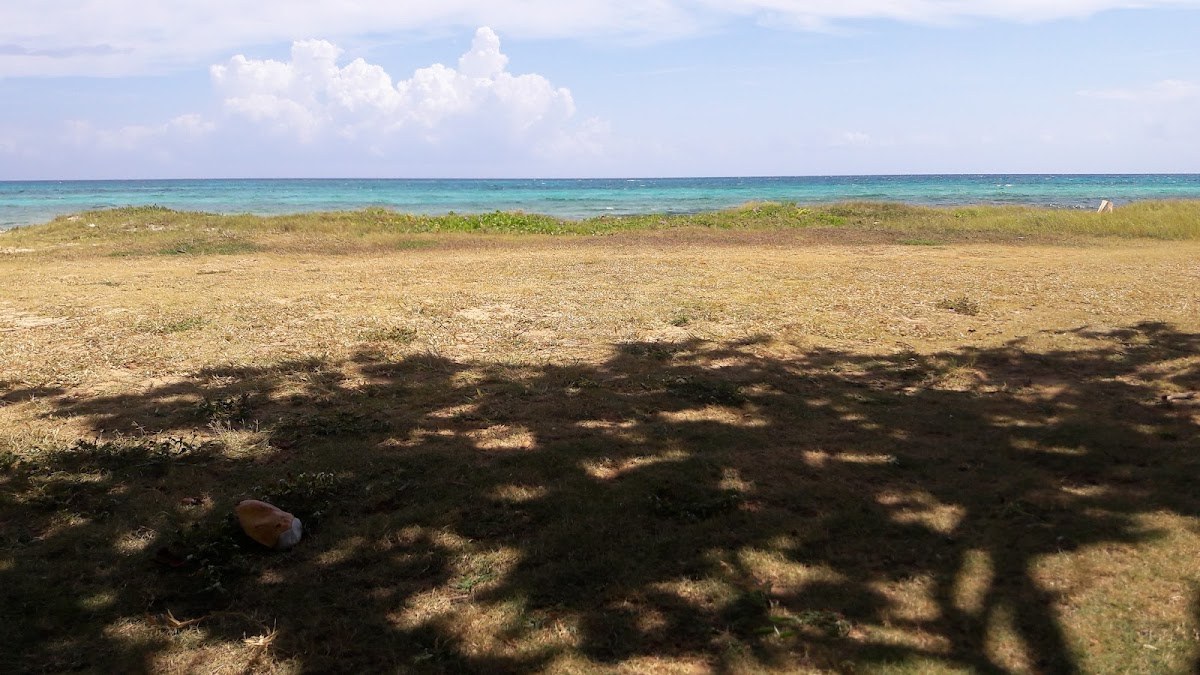 Leroy's Reggae Spot photo 3