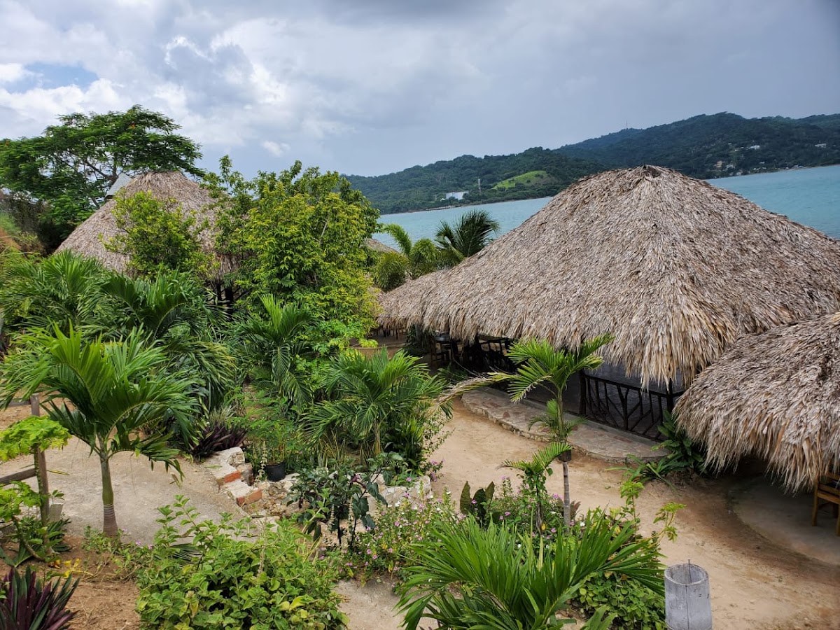 Reggae Paradise photo 2