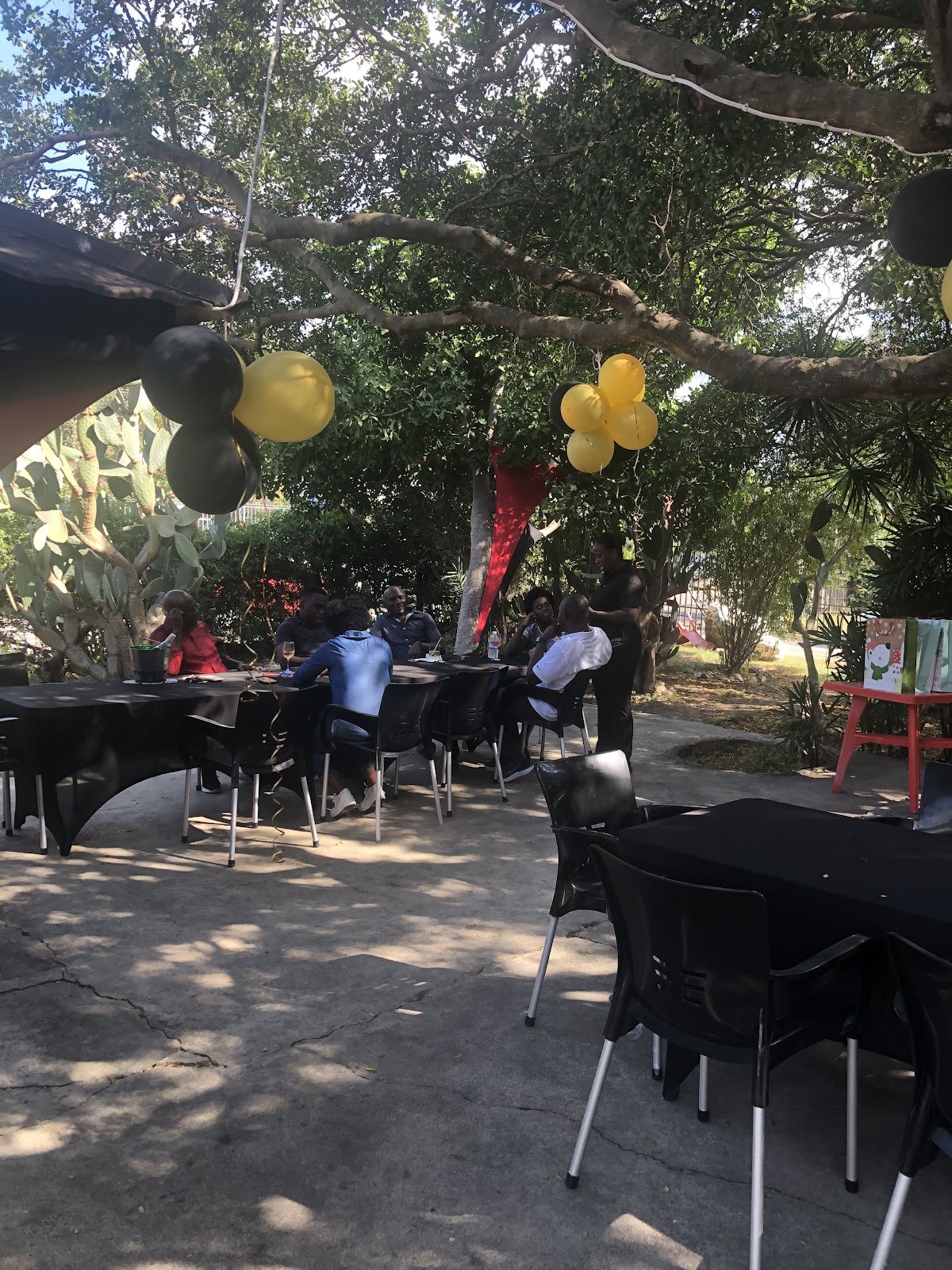 Our Place on the Oasis — Kingston