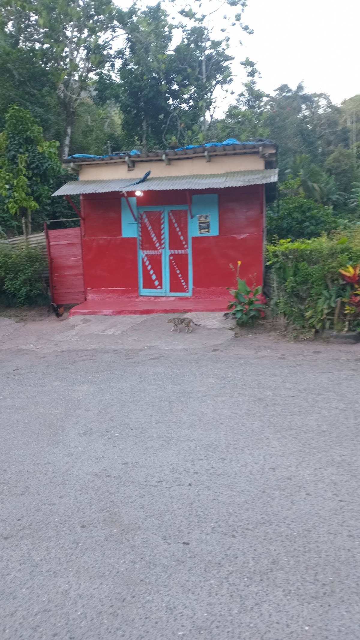 D&L cook shop photo 1