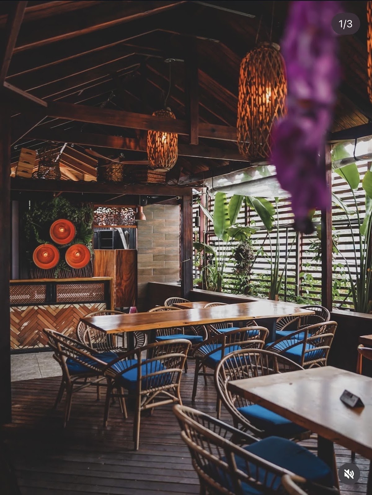 Orchid Thai — St. Andrew