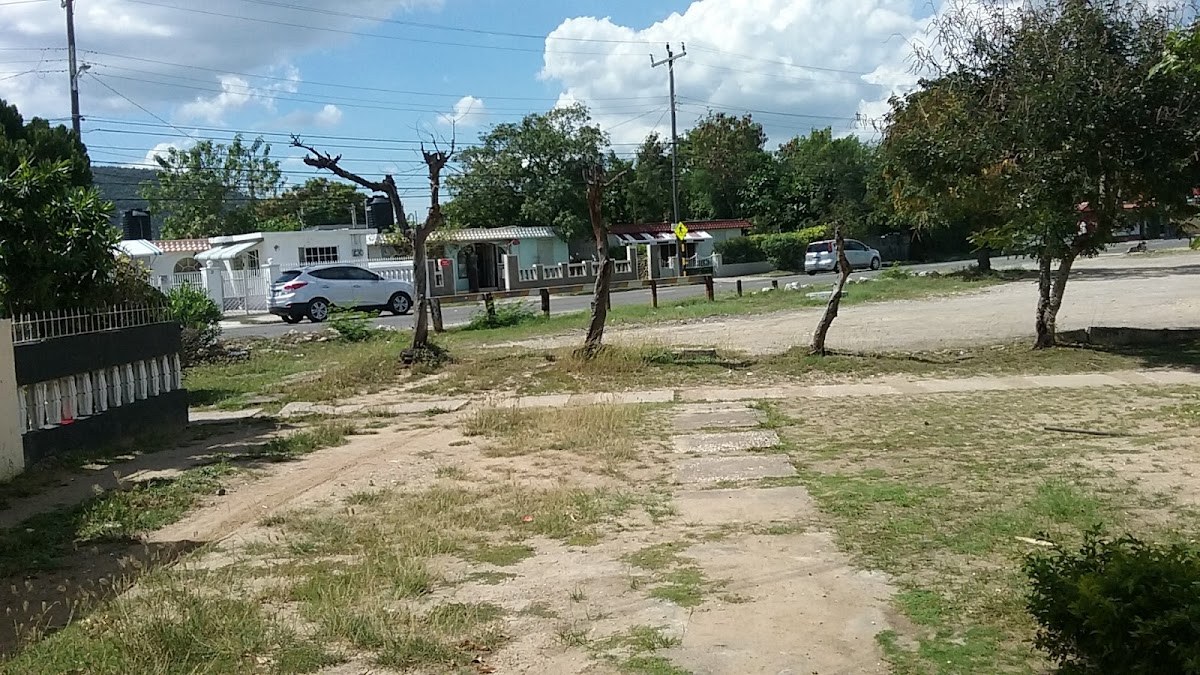 Miss Bev's Cook Shop — St. Catherine