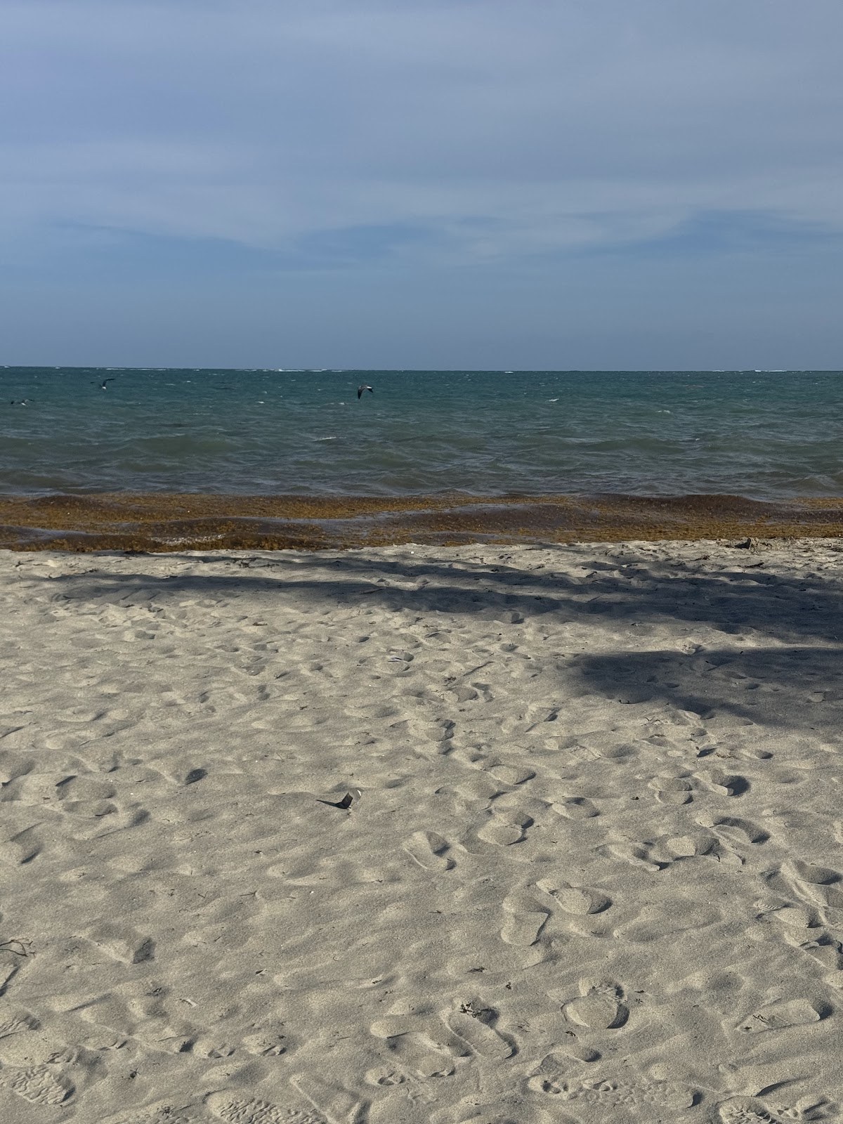Waves Beach photo 3