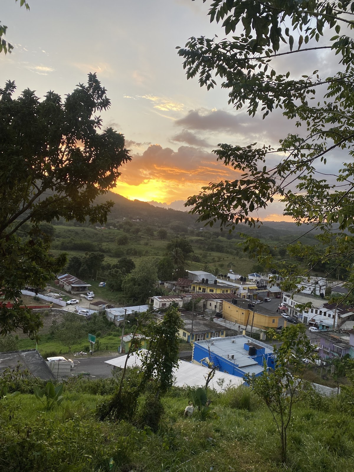 New Market Town, St Elizabeth, Jamaica photo 3