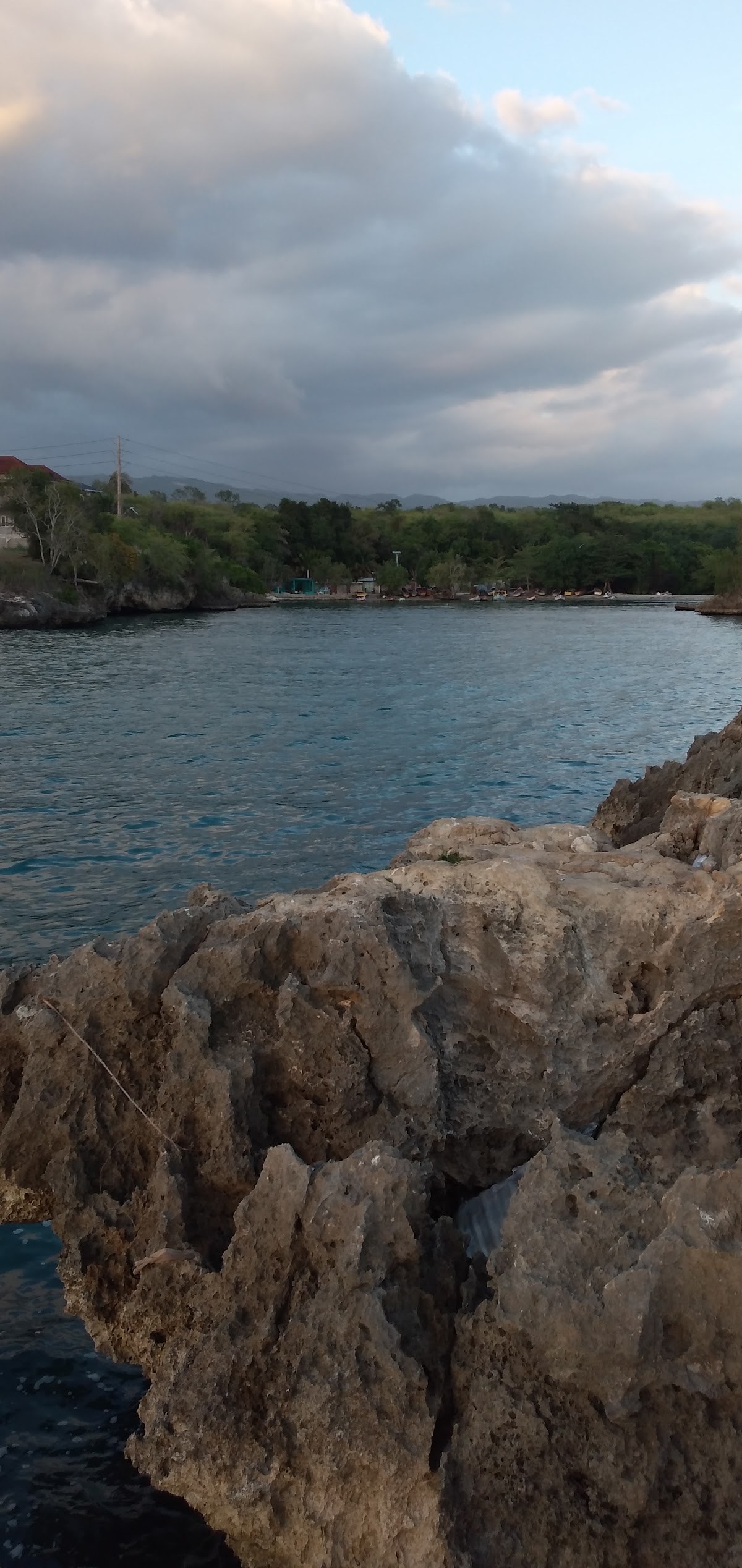 Scott's Cove photo 1