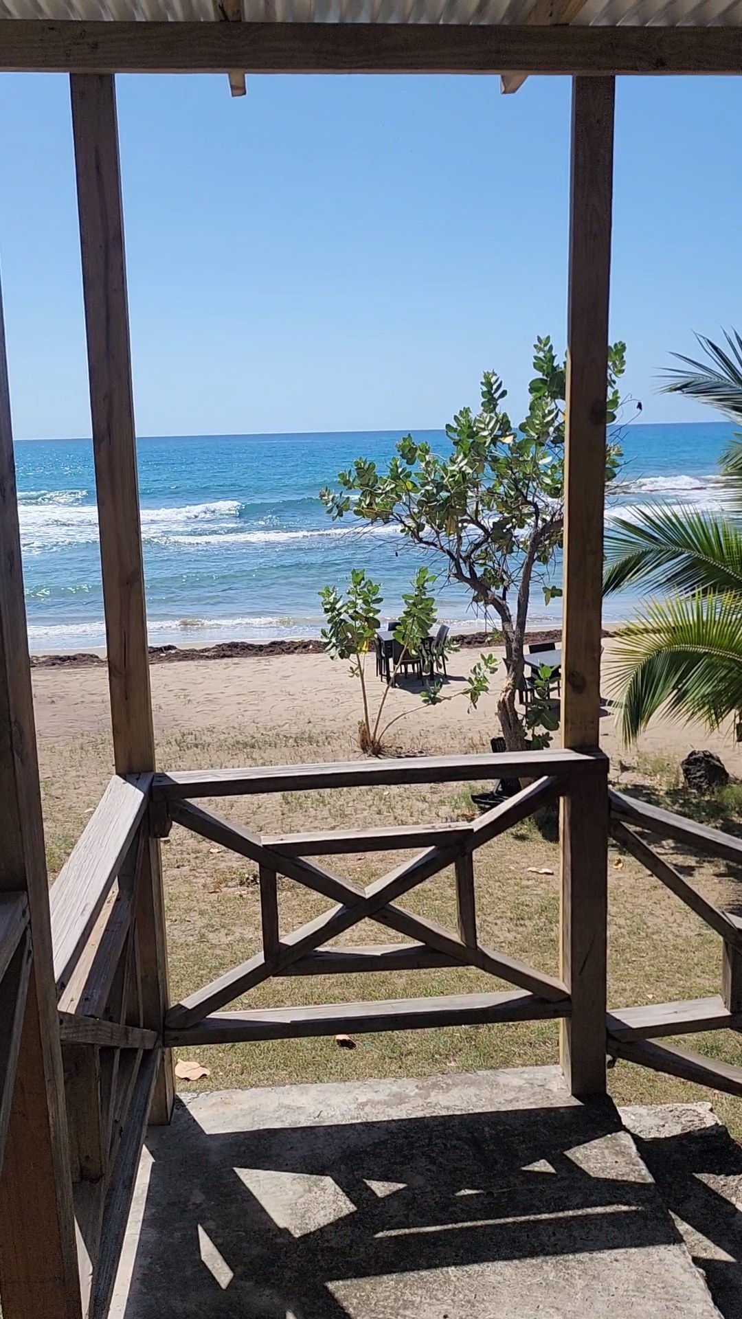 Ki's on di Beach photo 2