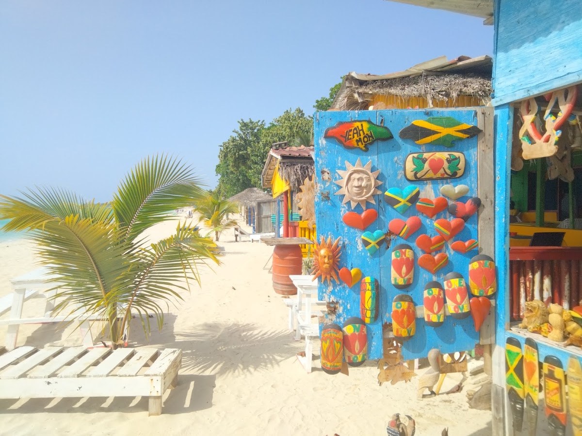 Coconut International photo 2