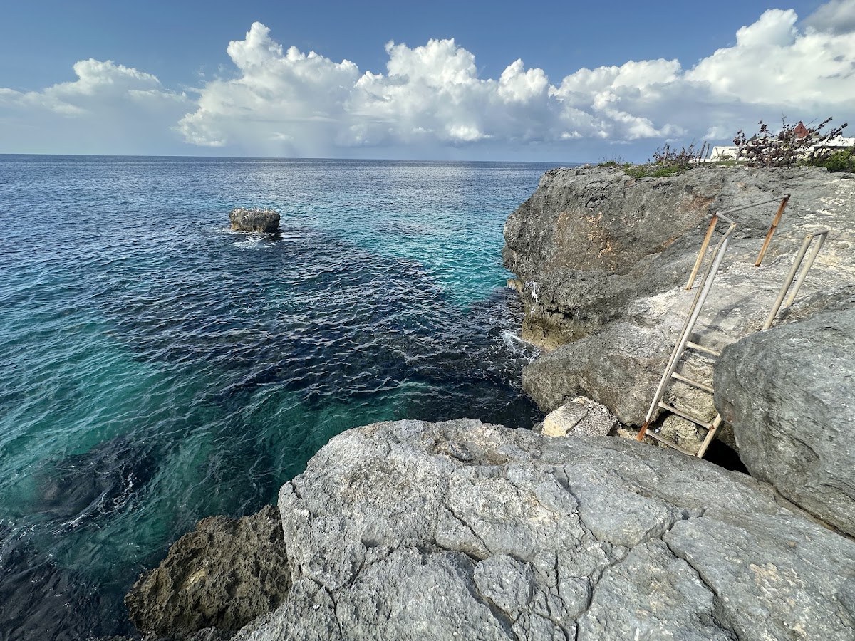 3 Dives Restaurant photo 3
