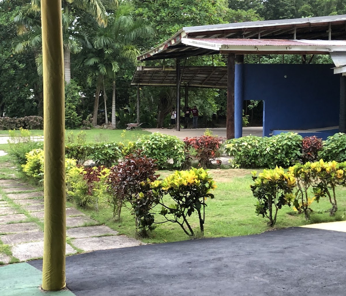 White River Reggae Park Bar and Jerk Centre — St. Ann