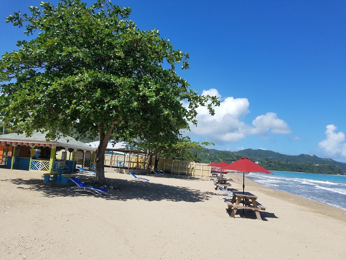 D'shore Beach Bar And Restaurant photo 1