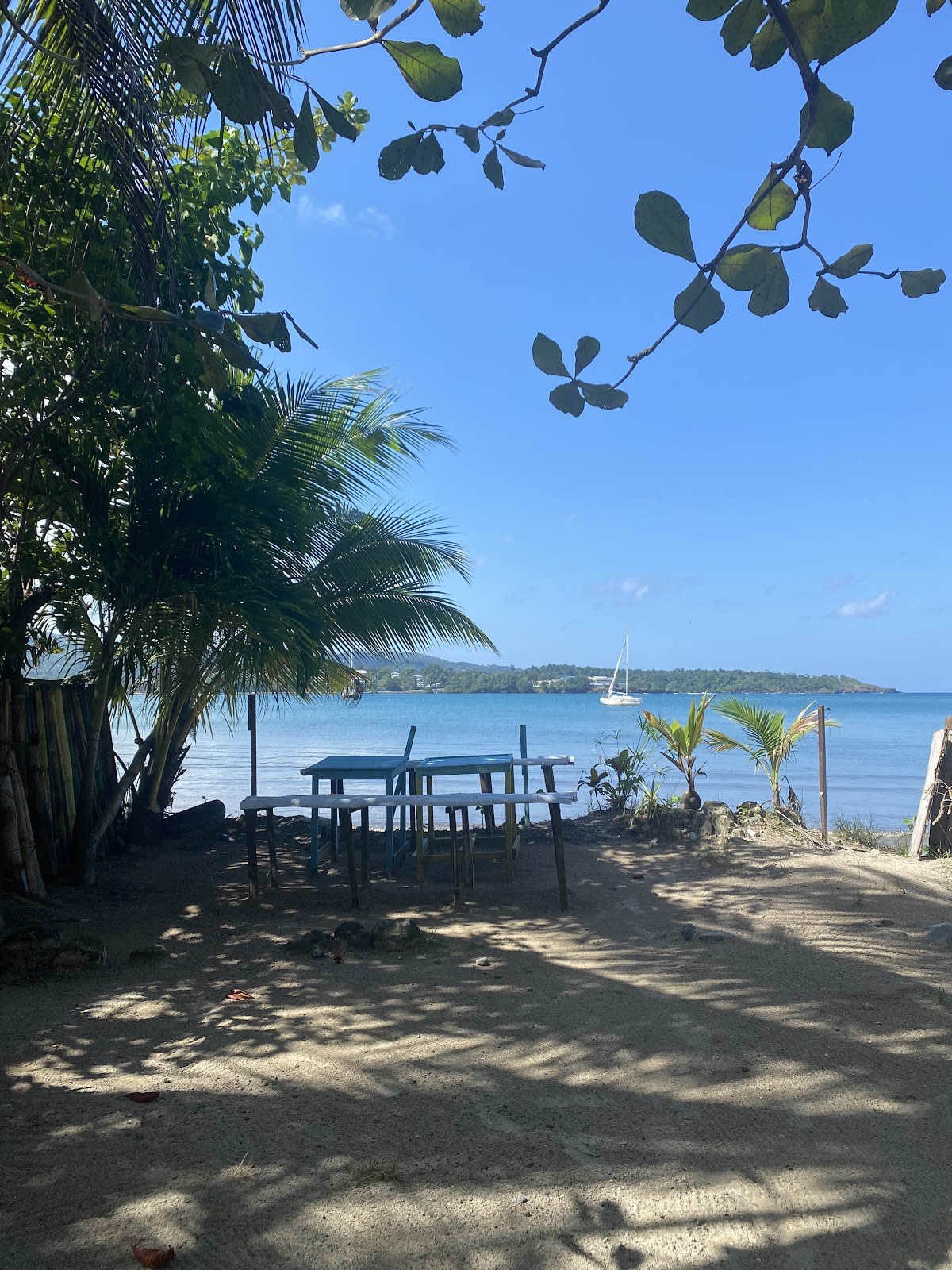 Survival Beach photo 2