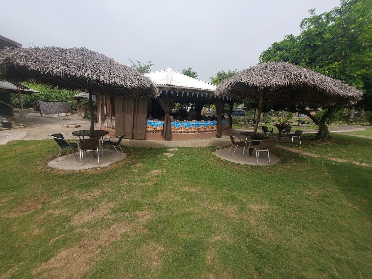 Martina's Juice Bar & Grill photo 3